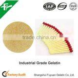 Industrial Gelatin For Match Head Supply Free Samples thumbnail-1