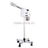 318 Face Steamer