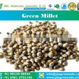 Green Millet