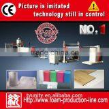 Rich Experience Pe Foam Production Line
