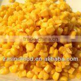 Best Quality Canned Sweet Corn in Brine With Low Price
