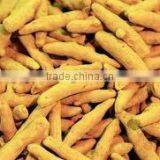 TURMERIC FINGERS IN HIGH QUALITY thumbnail-1