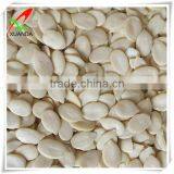 Good Quality Watermelon Seed Kernels thumbnail-1