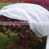 PP Spunbond Non-woven Fabric for Gardening 30gsm