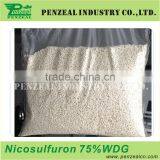 Nicosulfuron 4%OF 75%WDG 95% TC, Herbicide 111991-09-4 thumbnail-2