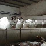 Chicken Broiler Slaughtering Line Line Dressing Equipments thumbnail-3