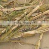 High Quality Straw Crusher Machine/wheat Straw Crusher thumbnail-3