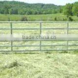 Steel Pipe Livestock Fence