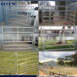 Sheep Farming/farm Equipment Hotsale