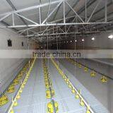 Automatic Chicken Feeder And Drinker Poultry Equipment thumbnail-3