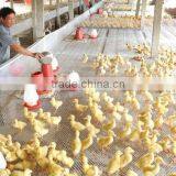 ISO9001 Plastic Flat Net Used in Farm for Duck and Chicken thumbnail-1
