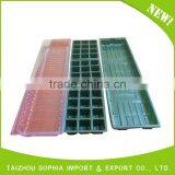 12 Cells Trays Set With Cover and Pallet,12 Cells Plug Seed Tray thumbnail-5