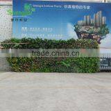 SJLJ013766 China Supplier Direct Selling Artificial Vertical Green Wall With Artificial Plant thumbnail-1