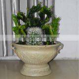 CHY030932 Artificial Ornamental Plant/plastic Decorative Cactus and Succulent thumbnail-3