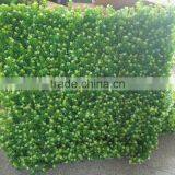 Factory Price Wall Hanging Plants thumbnail-5