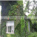 China Wholesale Artificial Plant Wall Manufacturer Foliage Plants Wall Green Wall Fake Plants Insulation thumbnail-1