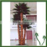 Established Artificial Washington Palm Trees Type House Plant Artificial Plants thumbnail-4