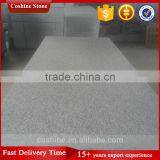 Ice Cristall Gamma Bianco New G603 Granite Flamed Finished 50mm Thick Plate thumbnail-3