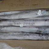 IQF Ribbon Fish thumbnail-3