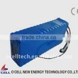 LiFePO4 48V 20Ah Battery Pack for Ebike