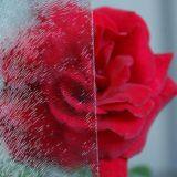 4mm Figured Glass/Pattern Glass/Embossed Glass With More Than 50 Designs From Factory Supplier thumbnail-4