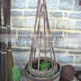 Garden Willow Obelisk thumbnail-4