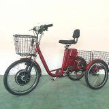 350W 48V Electric Trike With Front Rear Basket,EWheels Adult Electric Tricycle thumbnail-1