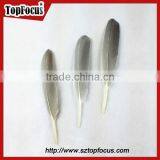Cheap Colorf Cleaning Goose Artificial Feathers for DIY Sale Cheap thumbnail-2