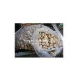 Canning Vegetables thumbnail-1