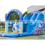 HI Popular 0.6mm PVC Tarpaulin Giant Inflatable Slide, Outdoor Children Slide