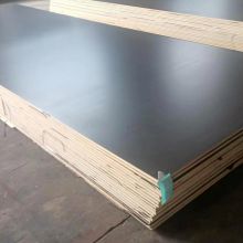 big size film faced plywood