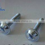 Pan Head Screw With Collar Philips Pan Head Screws thumbnail-1