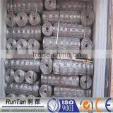 ISO9001 Anping Hot Dipped Galvanized Hinge Lock Sheep Fencing (Since 1989)