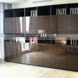 High Glossy Move the Door Big Bookshelf (SG-04)