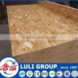 Fairly Confident Osb in Sale thumbnail-4