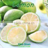 Best Quality Fresh Green Lemon thumbnail-2