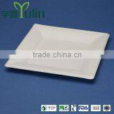 T027 8 Inches Disposable Flate Square Sugar Cane Paper Plate Quality Choice thumbnail-3