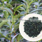Ngoc Viet Oolong Tea- Jade Viet Oolong Tea thumbnail-1