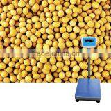 CE Approval Weighing Scale 600kg