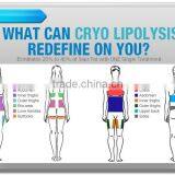 Fat Freezing Hottest Criolipolisis Lipo Cryo Fat Freezing Machine Cryolipolysis Device Increasing Muscle Tone thumbnail-3