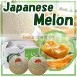 Delicious Safe Komitsu Apples From Japanese Apple Farms thumbnail-2