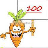 Agrolink Super Fine Seaweed Extract Powder Fertilizer thumbnail-5