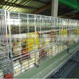 H Type 4 Layer Baby Chicken Cage/ Brooder/ Day Old Chicken Cages For Sale thumbnail-3