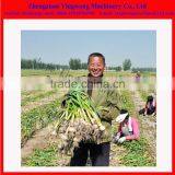 Yingwang Brand Garlic Harvesting Machine (0086-15938761901) thumbnail-1