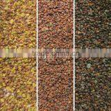 High Quality CCD Camera Seed Color Sorting With LED Light thumbnail-3