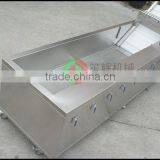 Guangdong Factory Direct Selling Vegetable Washing Machine High Quality Bubble Tomato Washing Machine Vegetable Cleaner thumbnail-4