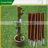 Plant Support Stand,Plant Stake Support thumbnail-1