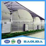 PE Mesh Covered Greenhouse thumbnail-4