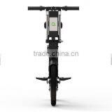 Leadway 300cc Trike Folding Electric Hoverboard Scooter thumbnail-2