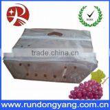 Transparent Slider Zipper Zip Lock Fruit Bag for Grape thumbnail-4